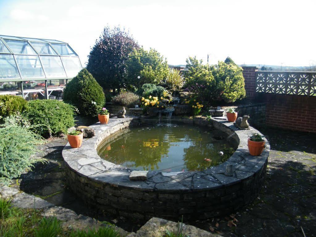Eastcote Luxury Guest House Clyst Saint Mary Exteriér fotografie